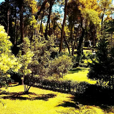 Βίλα Sani Pool